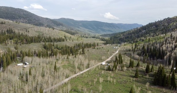 Franklin Basin Road USFS&nbsp;Dispersed