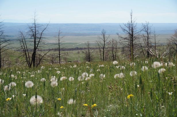 Flood? Fire? Did We Stick to the Plan to get to Red&nbsp;Lodge?