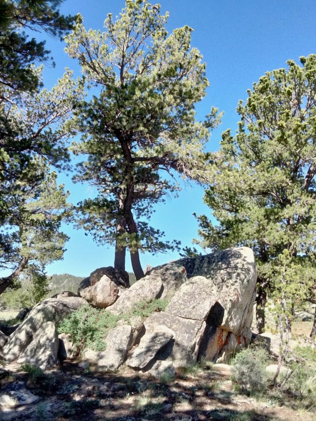 Spacious Wyoming | Louis Lake&nbsp;Road