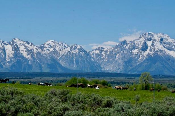 Grand Tetons Stay  & vlog Update June&nbsp;2022