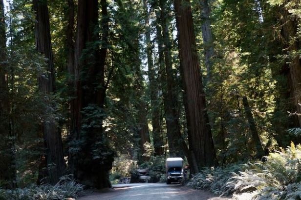 [VIDEO] Redwoods National Park | Trip&nbsp;part:4