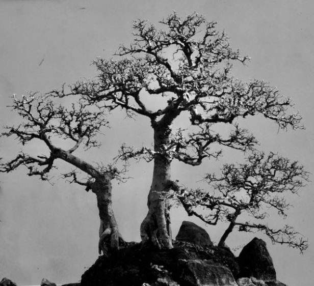 Gloomy and Moody or Intriguing and Mysterious&nbsp;#SundayStills