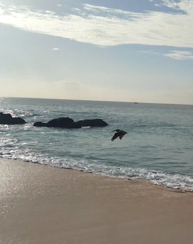 Finding Our Way&nbsp;#SundayStills