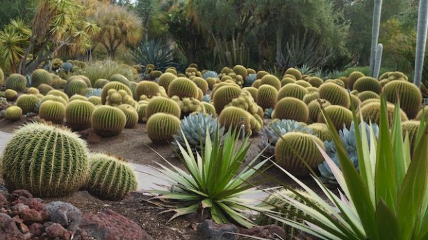 Lively Green Everywhere&nbsp;#SundayStills