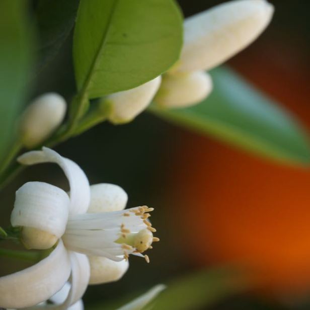 The Yard #Awakens&nbsp;#SundayStills