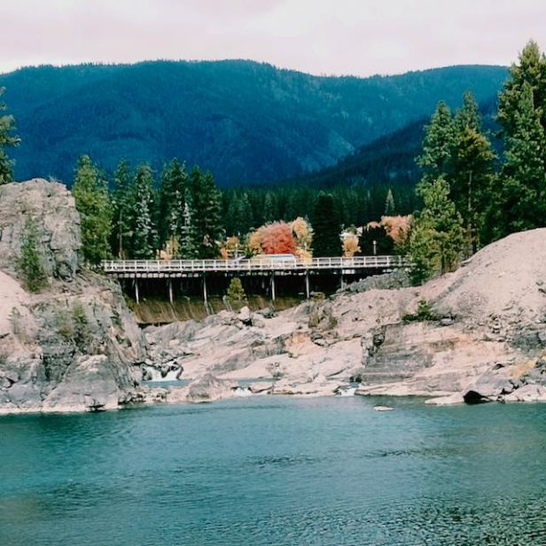 Chasing Gold #SundayStills