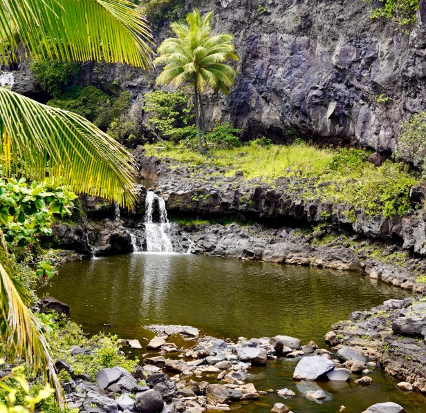 Earth Day Island&nbsp;Style