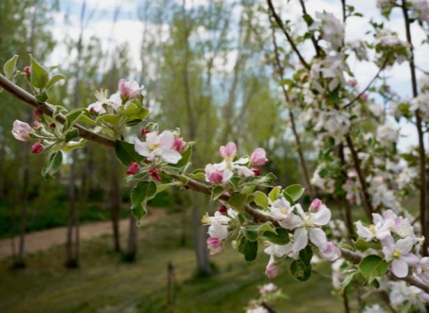 May I Show You? #Sunday&nbsp;Stills